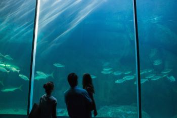 水族館のイメージ